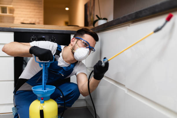 Best Cockroach Control Services  in Chicopee, MA