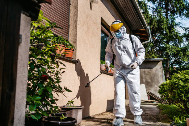 Best Flea Control Services  in Chicopee, MA