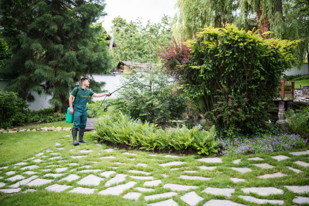 Best Affordable Pest Control Services  in Chicopee, MA